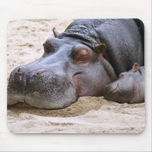 Flusspferd Mousepad