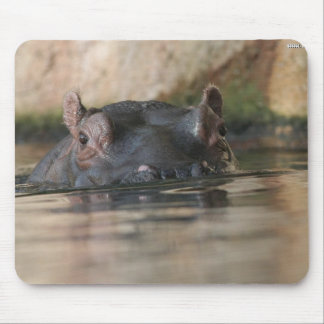 Flusspferd Mousepad