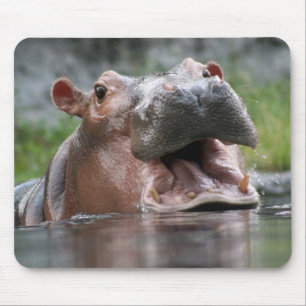 Flusspferd Mousepad