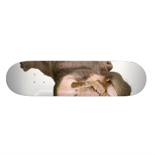 Flusspferd Skateboard