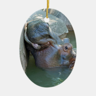 Flusspferd-Verzierung Keramikornament
