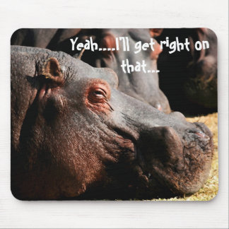 Flusspferdhaltung, ", das ich auf dieser" mousepad