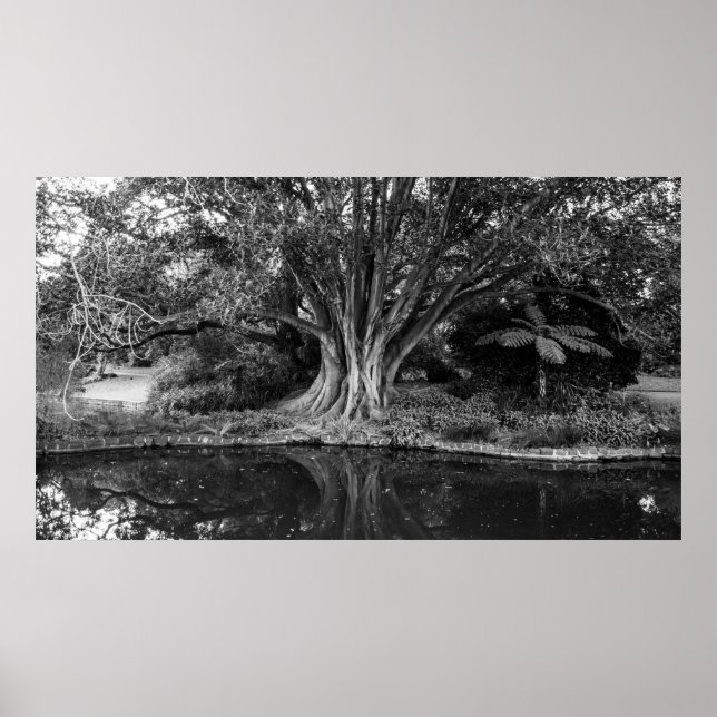 Flussplakat Poster (Vorne)