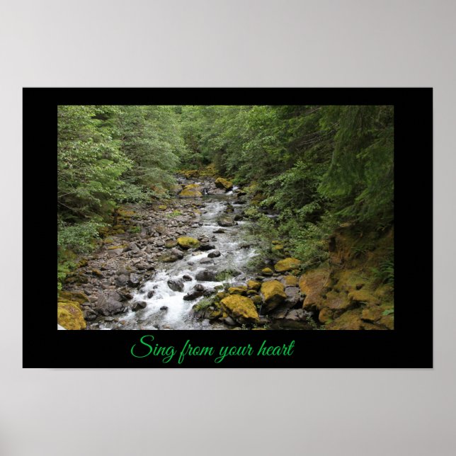 Flussposter Poster (Vorne)