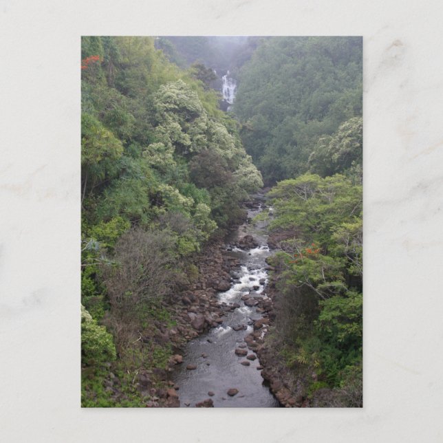 Flusstal in der Nähe von Hilo, Hawaii Postkarte (Vorderseite)