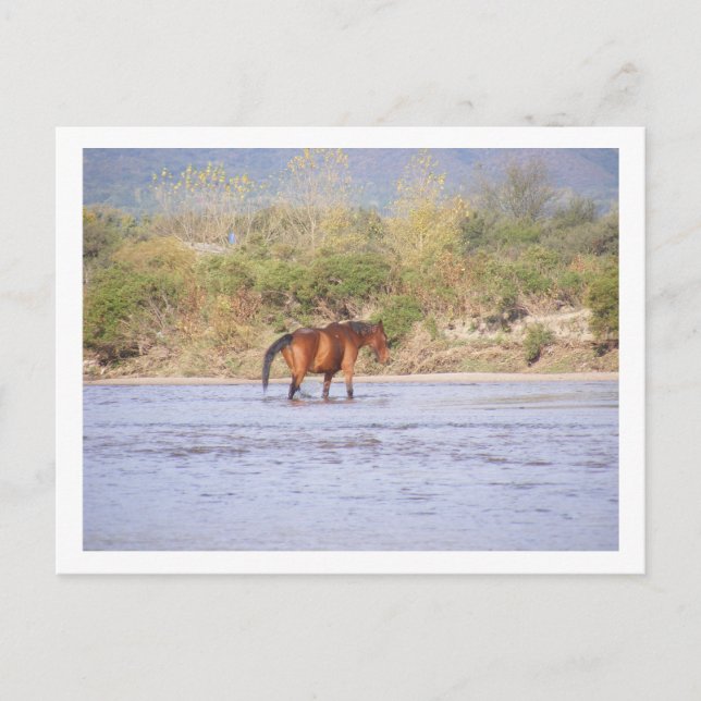 Flussüberquerung Postkarte (Vorderseite)
