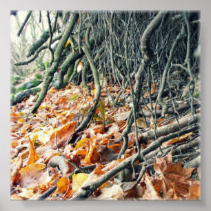 Flussufer Hafren Poster