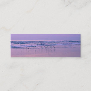 Flussuferläufer auf dem Strand an den Telefonnummerkarte