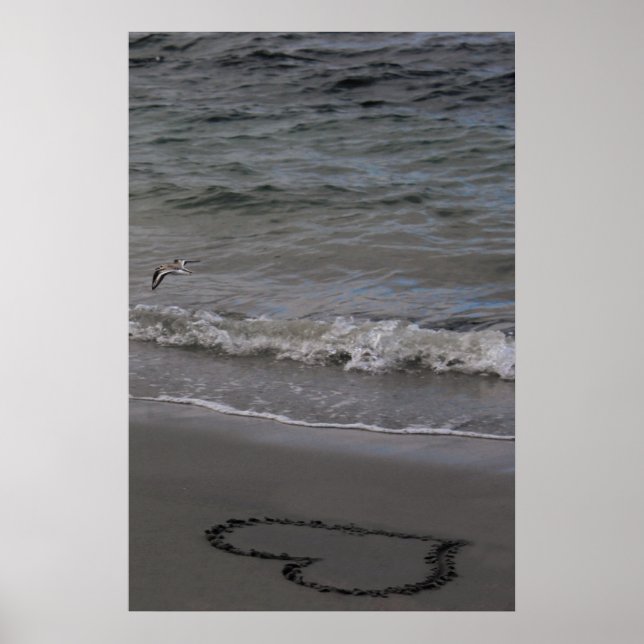 Flussuferläufer in der Liebe Poster (Vorne)