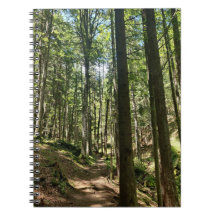 Flüstern des Waldes