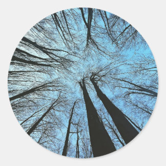Flüstern des Whisperwaldes Runder Aufkleber