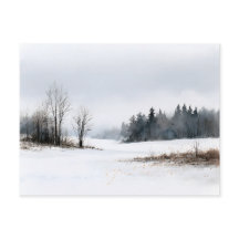 Flüsternde Kiefern Schneeiger Winter