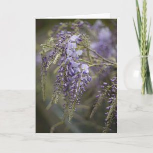 Flüsternde Wisteria Naturfotografie Blanko Karte