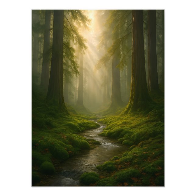 Flüsterwald Fotodruck (Vorne)