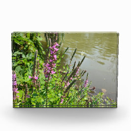 Flut des weißen Schmetterlings Fotoblock