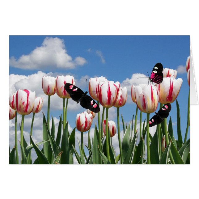 Flutter durch (Vorderseite (Horizontal))