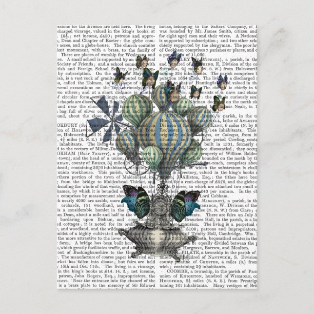 Flutzeit Postkarte (Vorderseite)