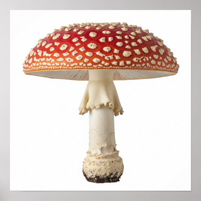 Fly Agaric Mushroom Poster (Vorne)