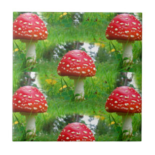 Fly Agaric Mushrooms Fliese