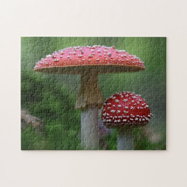 Fly Agarious Red Mushrooms Foto Puzzle (Horizontal)
