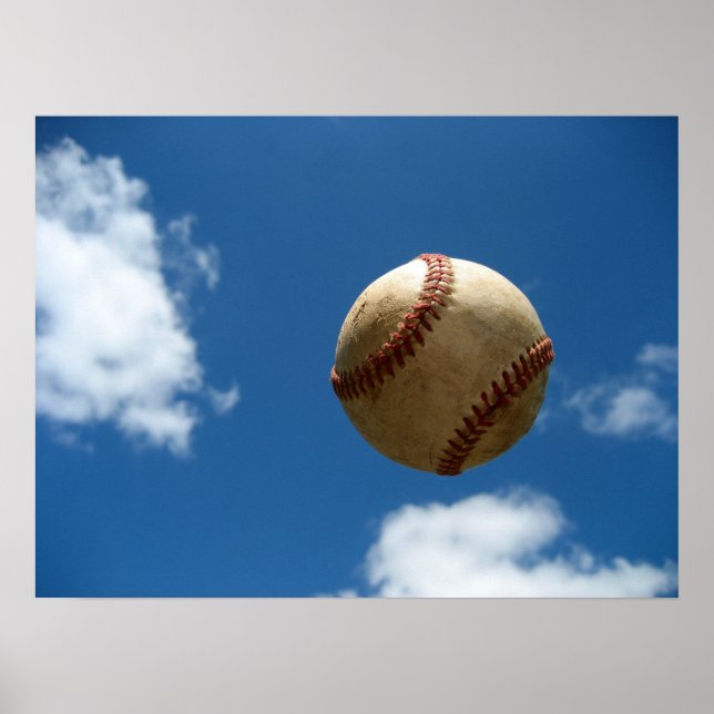 Fly Ball Poster (Vorne)