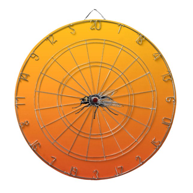Fly Buddy Dartboard Dartscheibe (vorne)