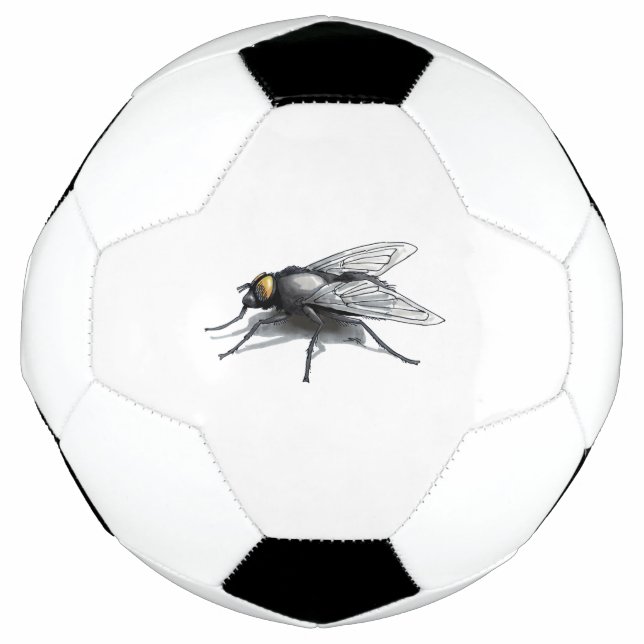 Fly Buddy Fußball (Vorderseite)