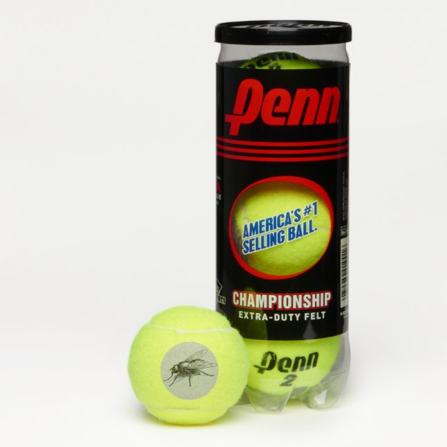 Fly Buddy Gigant Fly Graue Penn Tennisbälle (Box)