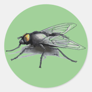 Fly Buddy grüne große runde Aufkleber
