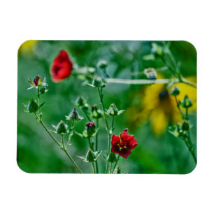 Fly-By im Garten Magnet