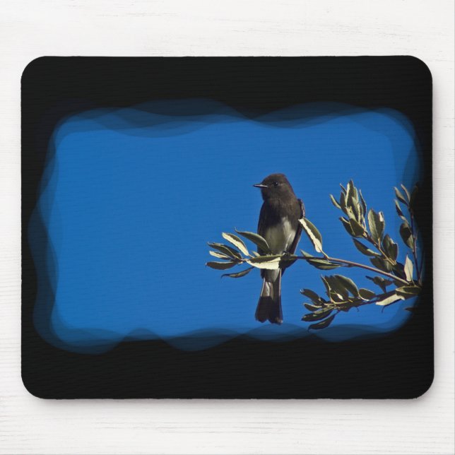 Fly Catcher Mousepad (Vorne)
