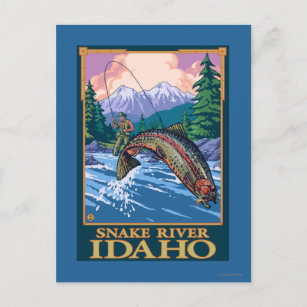Fly Fishing Scene - Snake River, Idaho Postkarte
