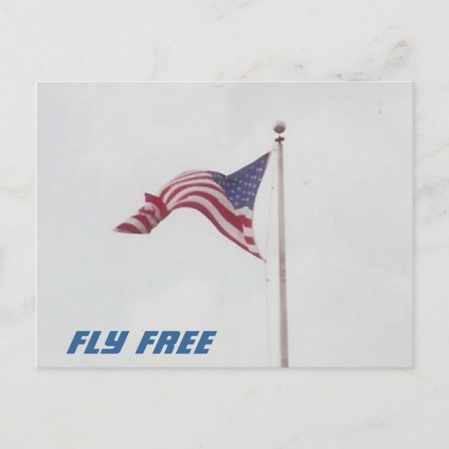 Fly Free USA Flag - Postkarte (Vorderseite)