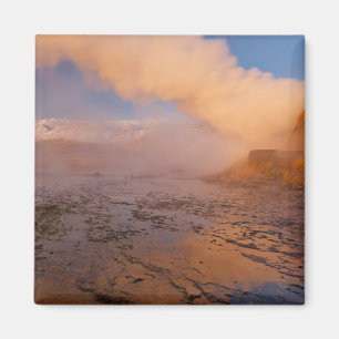 Fly Geyser in der Black Rock Desert Magnet