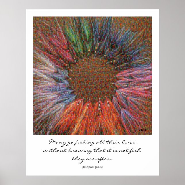 Fly Halo Montage Poster (Vorne)