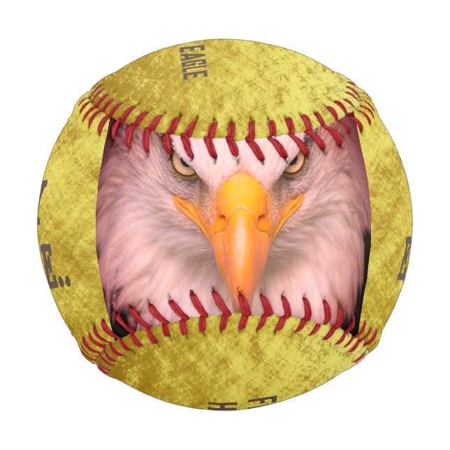 "Fly High Eagle Baseball (Vorderseite)