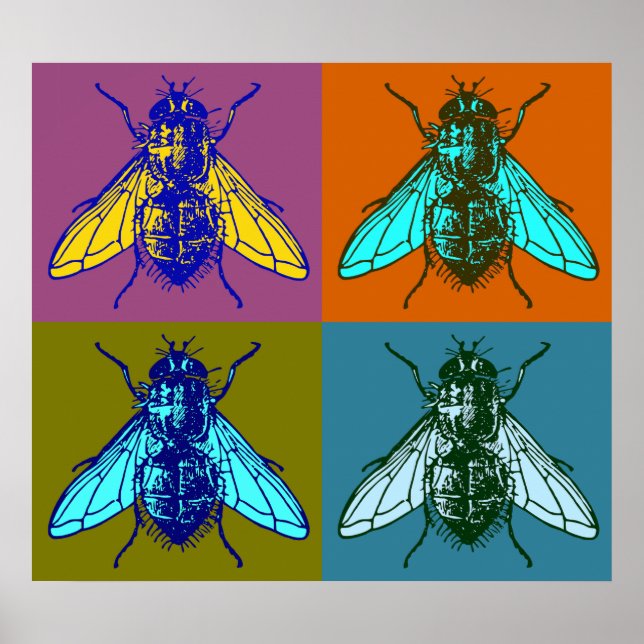 Fly Pop Art Poster (Vorne)