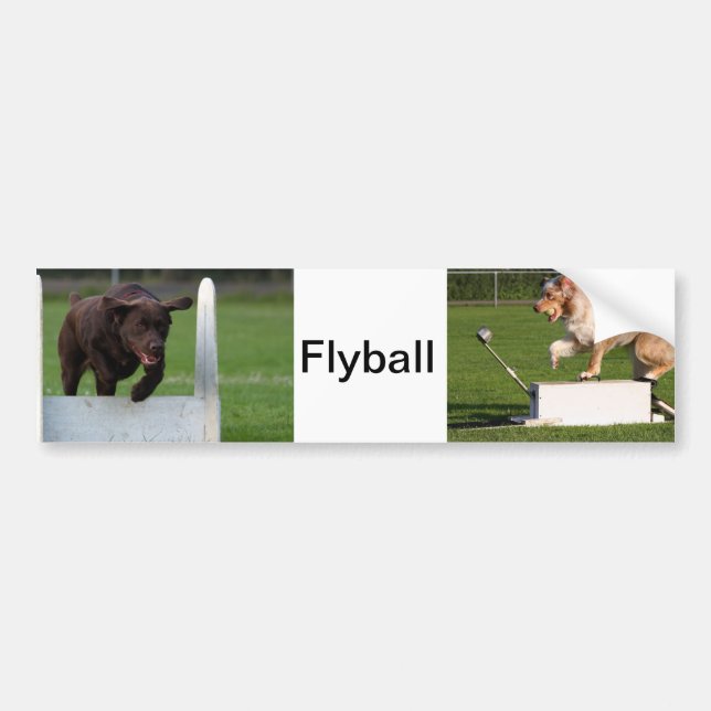 Flyball Autoaufkleber (Vorne)