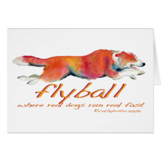 Flyball wirkliche Hunde