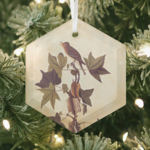 Flycatcher Bird von Audubon Trail Ornament Aus Glas