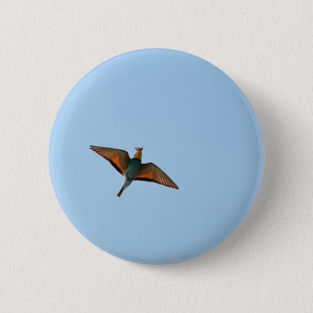 Flycatcher Button (Vorderseite)
