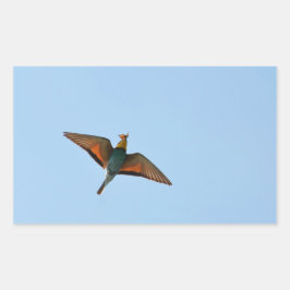 Flycatcher Rechteckiger Aufkleber