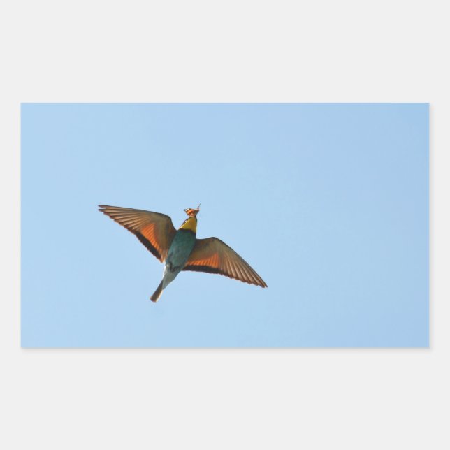 Flycatcher Rechteckiger Aufkleber (Vorderseite)