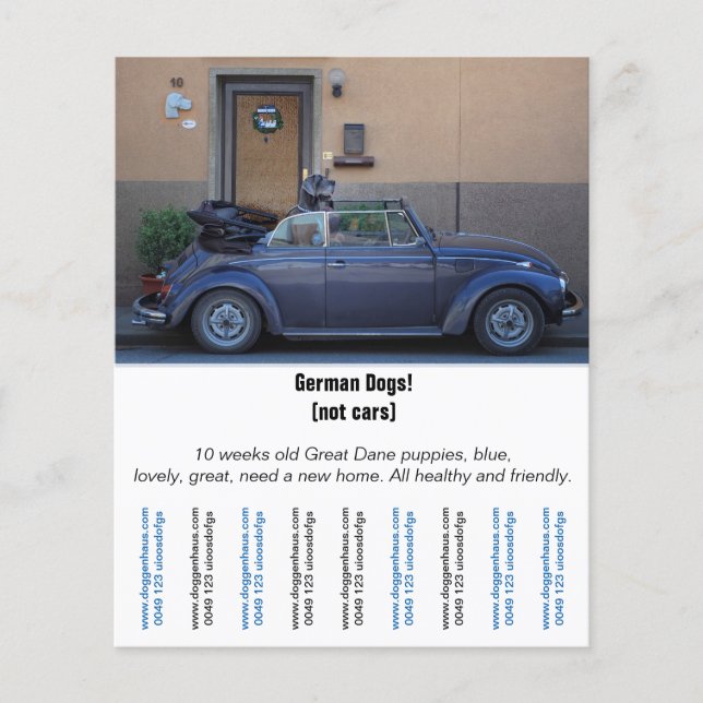 Flyer "Car Seller" (Vorne)