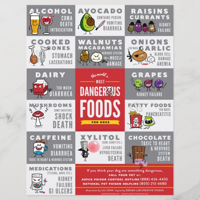 Flyer - die gefährlichste Nahrung für Hunde (Vorne)