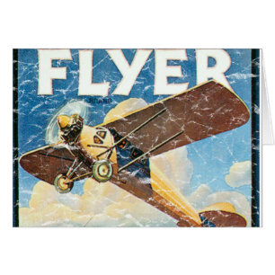 Flyer in Not