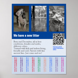 Flyer mit QR-Code für Welpe Poster