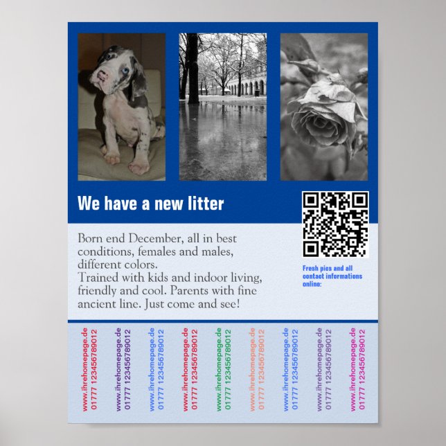 Flyer mit QR-Code für Welpe Poster (Vorne)