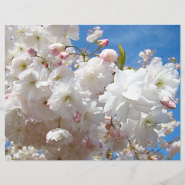 Flyer Papier Erstellen Sie Ihre eigenen benutzerde (Vorne)