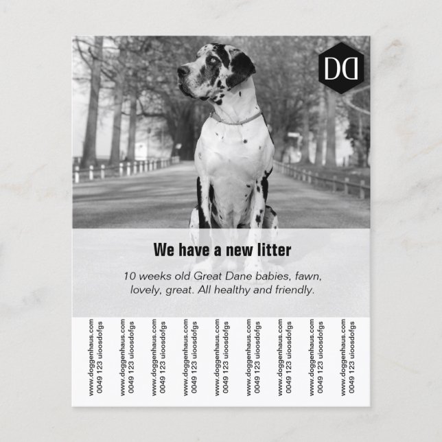 Flyer "Verkäufer" (Vorne)